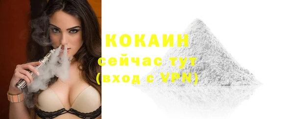 сатива Иннополис