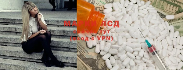 сатива Иннополис