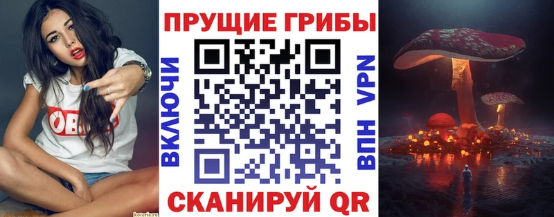 Купить  Белый  Псилоцибиновые грибы Magic Shrooms 