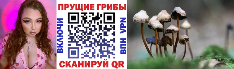 Галлюциногенные грибы Magic Shrooms Белый