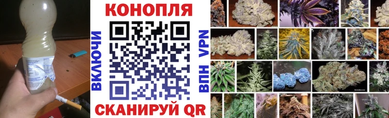 Конопля план  Купить где  Белый 